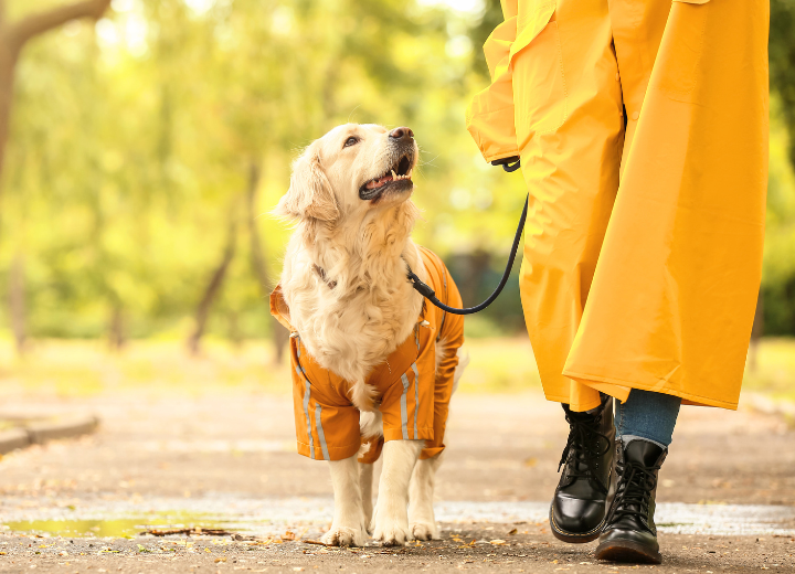 【ペットの四十九日とは？】供養の意味と動愛園でできる供養
